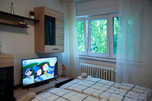 ein Schlafzimmer mit einem Bett und einem TV in der Unterkunft Studio Apartment Vijenac in Osijek