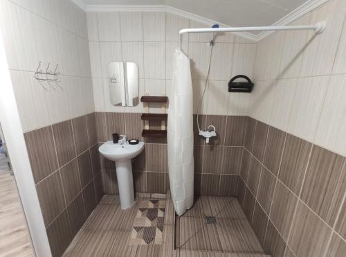 a small bathroom with a sink and a shower at Гостинний дім "Алмаз" in Kurortne