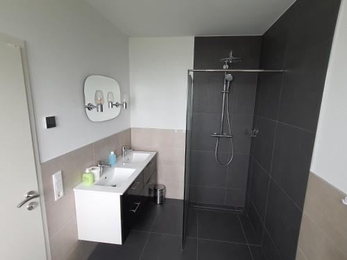 a bathroom with a shower and a sink at Gäste Haus Am See in Düren - Eifel