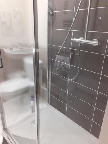 ein Bad mit einer Dusche, einem WC und einem Waschbecken in der Unterkunft Logis Hôtel Restaurant de l'Ecu in Montbard