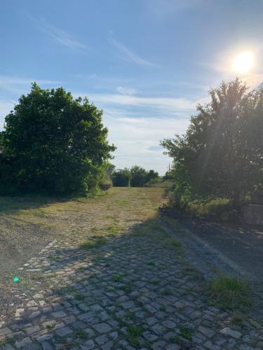 Příroda nedaleko apartmánu