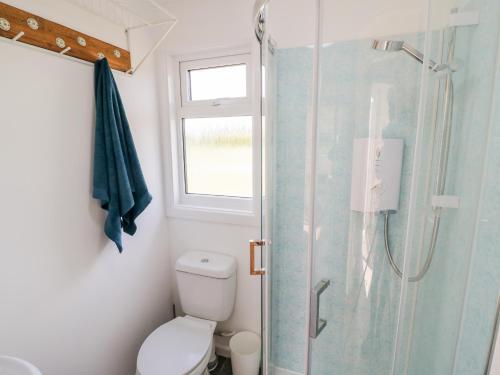 ウスターにあるMalvern View Lodgeのトイレとガラスのシャワー付きのバスルーム