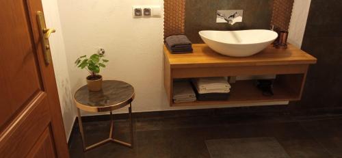 a bathroom with a sink and a potted plant at U Siebie w Górach Apartamenty in Bukowina Tatrzańska