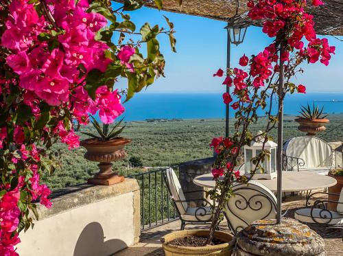 eine Terrasse mit rosa Blumen, einem Tisch und Stühlen in der Unterkunft Villa Basso 2 in Monte SantʼAngelo