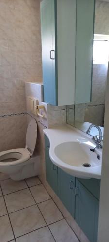 a bathroom with a toilet and a sink and a mirror at 't uiltje in Ermelo