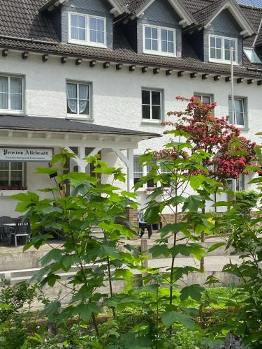 a house with a tree in front of it at Pension / Ferienwohnung Allebrodt in Lennestadt