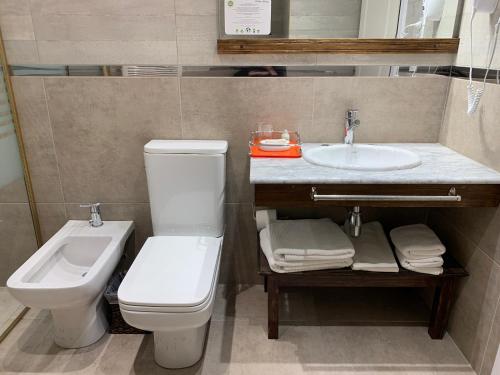 a bathroom with a toilet and a sink at Chalten Suites Hotel in El Chalten