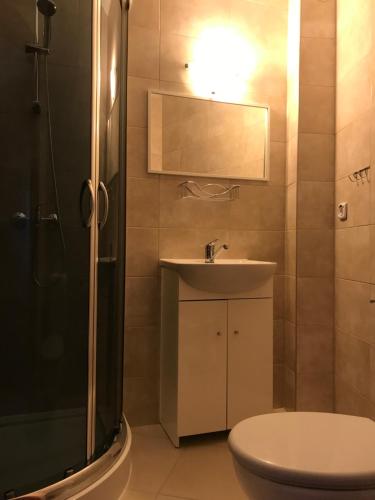 a bathroom with a toilet and a sink and a shower at Pokoje Gościnne DANA in Łeba