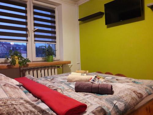 Ce lit se trouve dans un dortoir doté d'un mur vert. dans l'établissement Luz Blues, à Ustrzyki Dolne