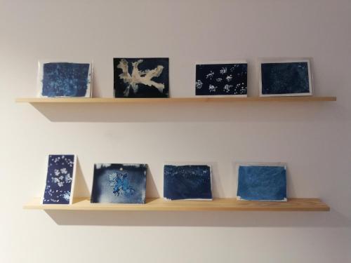 a shelf with blue and white plates on it at O VIOLAS - Art Coffee & Guesthouse in Praia de Mira