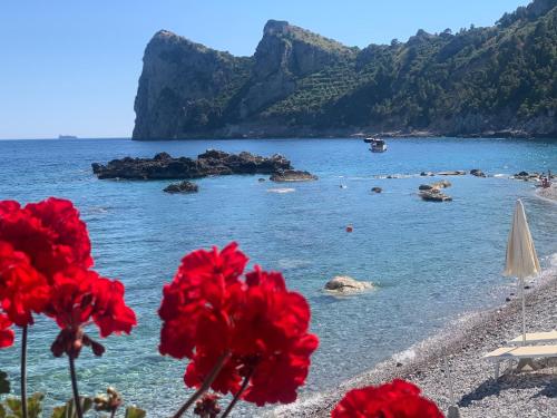 a beach with red flowers in front of the water at L'Oblò in Massa Lubrense
