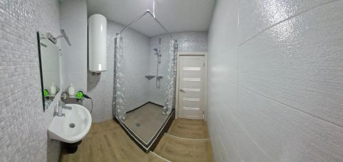 y baño con ducha, lavabo y espejo. en Apartments Swan Lake, en Kiev