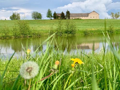 a field with a house and a pond with flowers at Siedlisko Wiłkupie, Dom na wzgórzu in Wilkupie