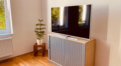 uma televisão de ecrã plano num suporte num quarto com uma planta em Moderne Wohnung in Eberswalde em Eberswalde-Finow