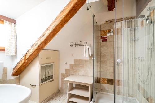 a bathroom with a shower and a toilet at Apartments Martecchini in Dubrovnik