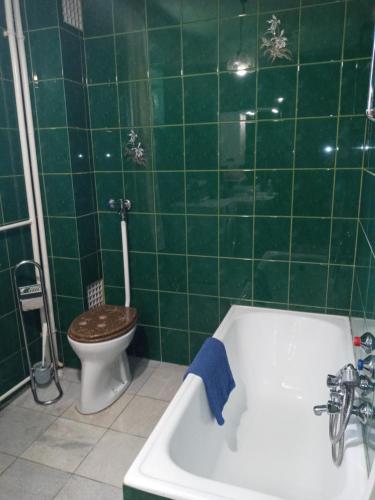 e bagno piastrellato verde con servizi igienici e vasca. di Luxury Eagle apartman a Budapest