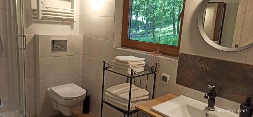 W łazience znajduje się umywalka, toaleta i lustro. w obiekcie Dom na Końcu Świata w Polanicy Zdroju