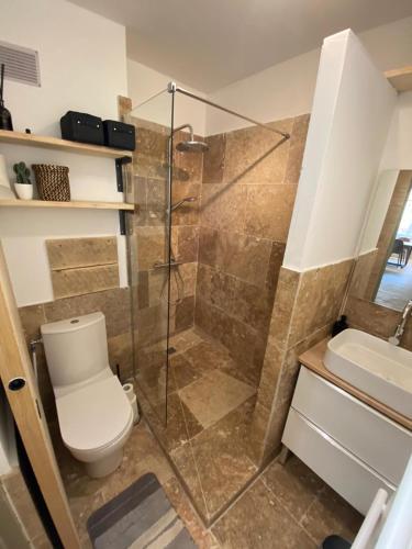 une salle de bain avec une douche, des toilettes et un lavabo dans l'établissement Charmant Appartement quartier Opéra, à Toulon