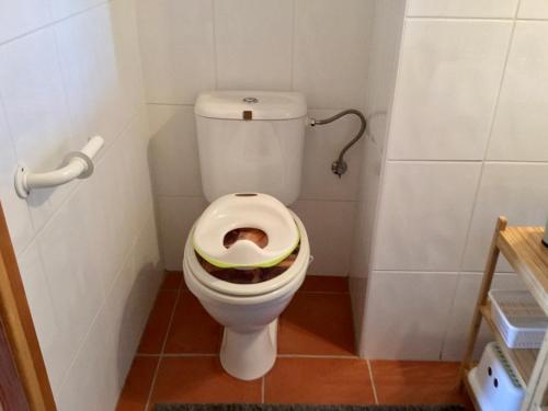 a small bathroom with a toilet with a seat at Apartment Mařenka Frymburk in Frymburk