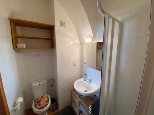Koupelna v ubytování Apartment Mařenka Frymburk