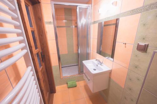 a small bathroom with a sink and a shower at Penzion Horský statek in Šumavské Hoštice