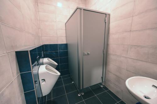 a bathroom with a urinal and a sink at Penzion Horský statek in Šumavské Hoštice