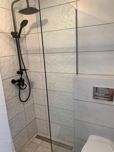 a shower stall with a toilet in a bathroom at Domek Pensjonat Syrena in Krynica Morska