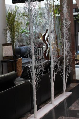 a couple of trees in a room with a couch at Hotel IL Sole in Berane