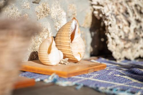 two seashells are sitting on a cutting board at Villa Tsitreli in Sikia