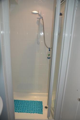 um chuveiro com uma esponja azul na casa de banho em The Garrett em Melcombe Regis