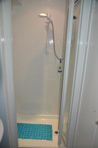 a shower with a blue sponge in a bathroom at The Garrett in Melcombe Regis