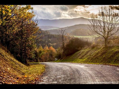 a dirt road in the middle of a hill at Apartment Mařenka Frymburk in Frymburk