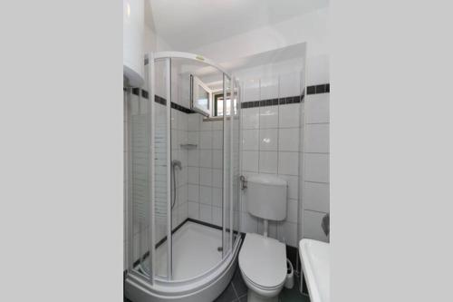 a bathroom with a shower and a toilet at Kuća za odmor Mihaela in Sutivan