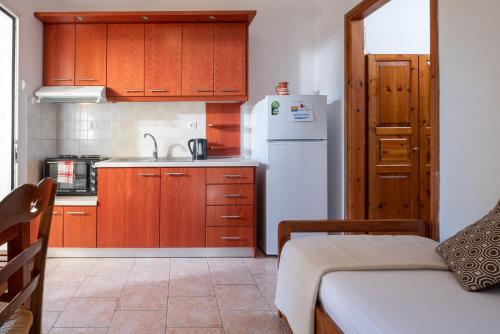 a kitchen with wooden cabinets and a white refrigerator at Villa Tsitreli in Sikia