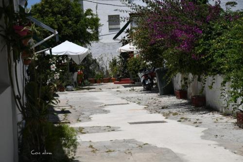 Φωτογραφία από το άλμπουμ του Hostal Costa de la Luz σε Chipiona