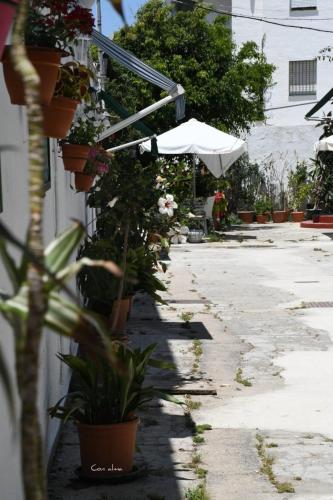 Φωτογραφία από το άλμπουμ του Hostal Costa de la Luz σε Chipiona