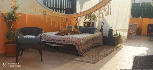 einem Hund, der auf einem Bett in einem Zimmer liegt in der Unterkunft La Casita de Celia in Alicante