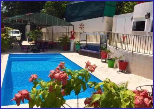 a swimming pool with a plant in front of it at Villa Labrousse (Atypical) in Le Gosier