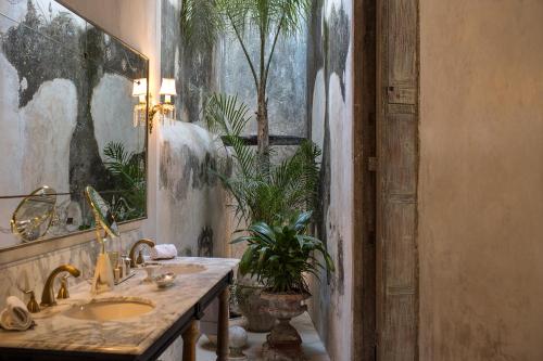 La salle de bains est pourvue d'un lavabo et d'une plante en pot. dans l'établissement Casa Olivia, à Mérida
