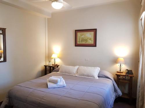 - une chambre avec un lit et 2 serviettes dans l'établissement Hotel Ariosto, à Mendoza