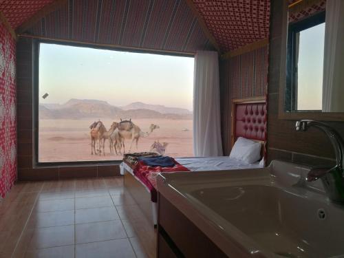 a bathroom with a tub and a group of camels outside a window at WADI RUM STAR WARS CAMP in Wadi Rum