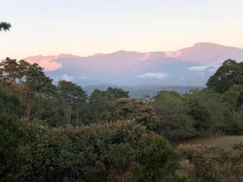 a view of a forest with mountains in the background at Linda casa de verano con amplias zonas verdes in San Isidro