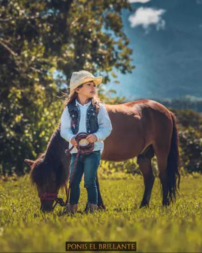 a little girl standing next to a horse in a field at Linda casa de verano con amplias zonas verdes in San Isidro
