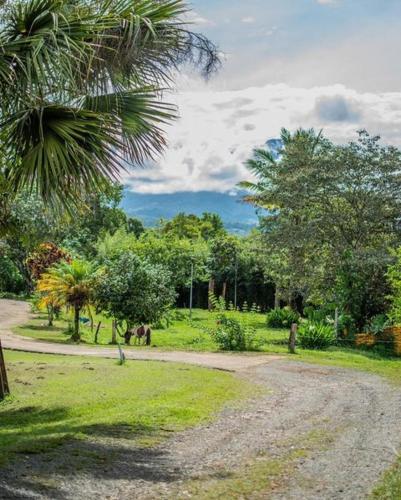 a dirt road in a park with trees and grass at Linda casa de verano con amplias zonas verdes in San Isidro