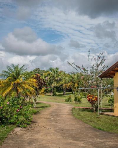 a dirt road in a park with palm trees at Linda casa de verano con amplias zonas verdes in San Isidro