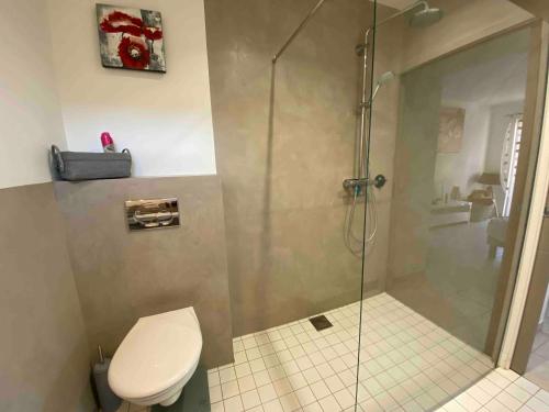 een badkamer met een douche en een toilet bij Chambre d'hôte au pied du Ventoux in Malaucène