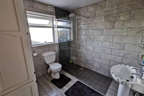 a bathroom with a toilet and a sink at Tranquil unit close to Kells in Kilkenny