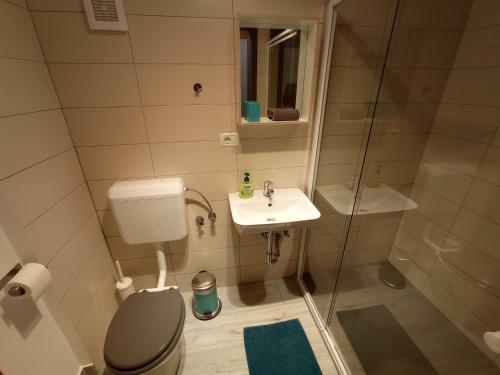 a bathroom with a toilet and a sink and a shower at Tiptop Apartment & Outdoor Activities in Bovec