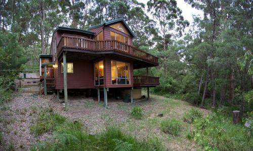 a wooden house in the middle of a forest at Honeymoon View in Denmark