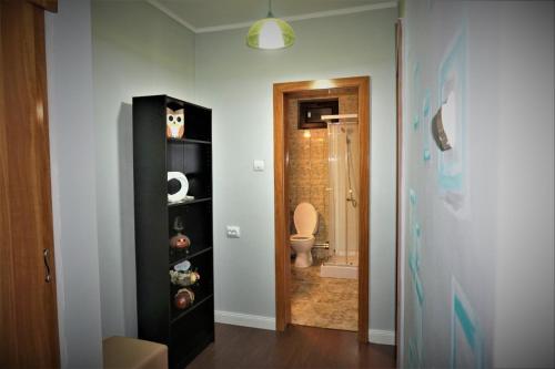 Afbeelding uit fotogalerij van Nosen Apartment in Bistriţa